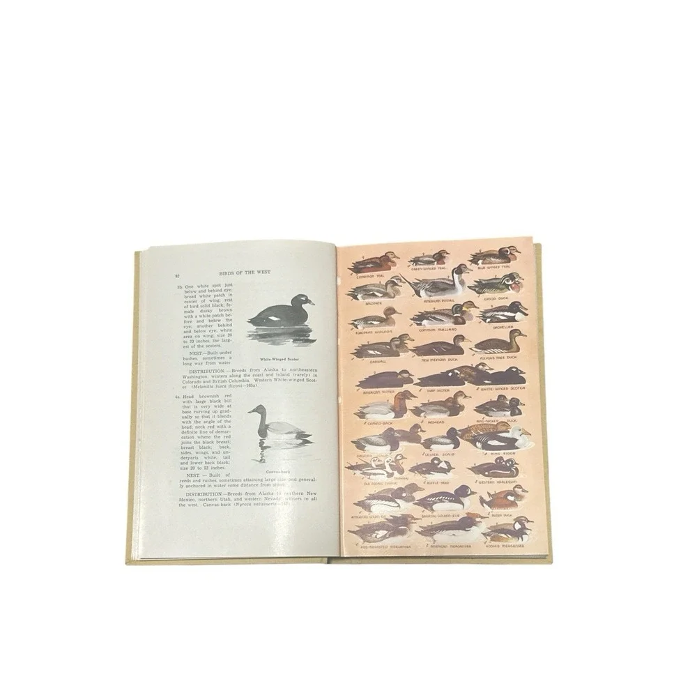Birds of the West by Ernest Sheldon Booth (1950) 1st Ed. Hardcover DJ